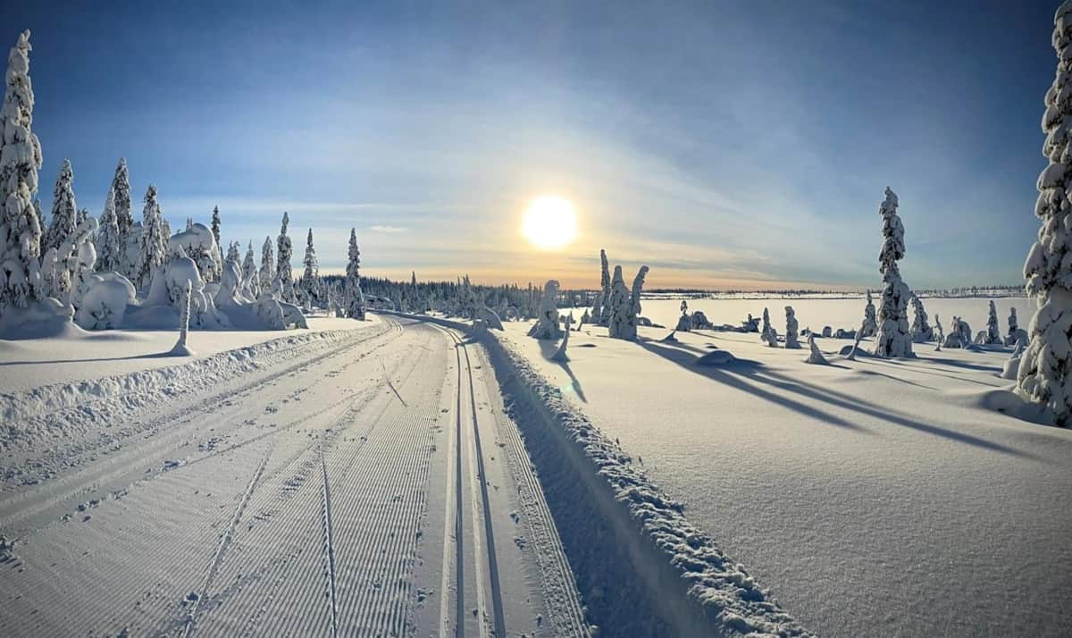Langrennsløyper rett utenfor døren